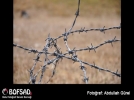 BOFSAD'da g�n�n foto�raf�