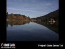 BOFSAD'da g�n�n foto�raf�