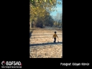BOFSAD'da g�n�n foto�raf�