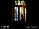 BOFSAD'da g�n�n foto�raf�