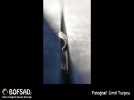 BOFSAD'da g�n�n foto�raf�