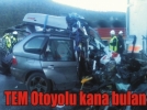 TEM�de feci kaza: 3 �l�, 3 yaral�