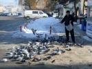 K�� aylar�nda g�vercinleri o besliyor
