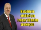 Defterdarl��a 1 milyon 110 bin lira �denek