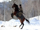 Masal ba�l�yor
