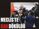 �zcan��n s�zleri Meclis�te kavga ��kard�