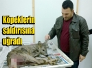 Karacan�n hayat�n� kurtard�lar