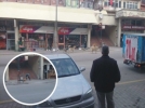 Kent merkezindeki sahipsiz k�pekler topland�