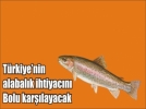 T�rkiye�nin alabal��� Bolu�da yeti�ecek