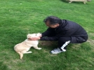 Gezi hat�ras� olarak k�pek ald�