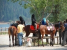 Bolu�ya Arap turist ak�n�