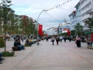 Bolu�da 1 y�lda 1904 ki�i hayat�n� kaybetti