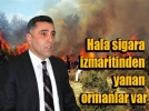 Hala sigaradan yanan ormanlar var