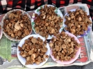 Mantar zehirlenmelerine kar�� uyar�