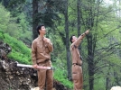 Japonlar Bolu ormanlar�nda