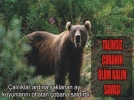 Talihsiz �obana ay� sald�rd�