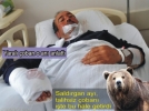 Ay�dan k�pekler kurtard�