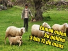 3 bin TL maa�la �oban de�il s�r� y�neticisi