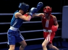 Bolu Boks �ampiyonas�'na haz�r