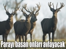 �haleyle avlanacaklar