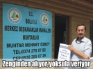 Devlet gibi muhtar