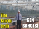 Belediye endemik bitkileri koruma alt�na ald�