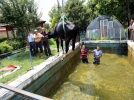 Havuza d��en ine�e kurtarma operasyonu