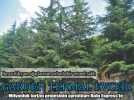 Sakl� cennet Garden