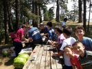 Yaz kurslar� sona eriyor