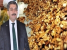Bolu�nun da�� ta�� ceviz olacak