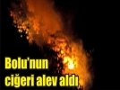 Abant�taki yang�n korkuttu