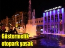 G�stermelik otoparka son