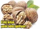 Organik ceviz yeti�tiricili�i art�k Bolu�da
