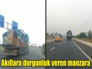 Bolu�da g�renleri hayrete d���ren g�r�nt�