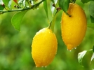 Bolu�da zam �ampiyonu �r�n belli oldu