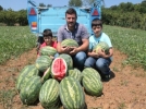 Bolu�da 170 ton karpuz �retilmi�!