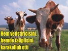 Kurbanl�k pazarl��� karakolluk bitti