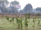 Bebek meyve bah�esi ilk mahsul�n� verdi