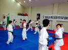 Belediye karate ekibi madalyalar i�in Yalova yolcusu