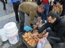 Mantar 10 ki�iyi zehirledi