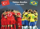 Liglere �zel milli ara