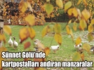 S�nnet G�l��nde hazan g�zelli�i