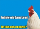 Kanatl� sekt�rde bir dev �retime ara verdi