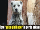 O veteriner ele�tirilere yan�t verdi!