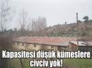 2015, kanatl� sekt�rde �yapt�r�mlar y�l�� olacak!