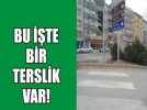 Bir garip yaya ge�idi