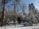 Esentepe�de kartpostall�k g�r�nt�ler