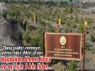 Bolu�ya �Ba�bakan Davuto�lu Hat�ra Orman��