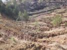 Mengen�de a�a�land�rma �al��mas�