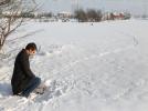 Sokak hayvanlar�na yem d�kt�ler